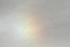 bijzon-IMGL2529