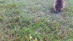 20160921_132536