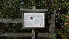 20160922_172414