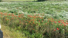 20160923_102819