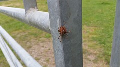 20160923_141255