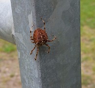 20160923_141255-1