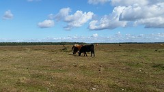 20160924_124446