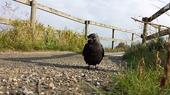 20160927_143056