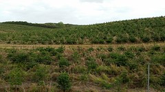 20160928_144439
