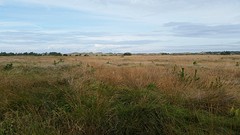 20161001_113441