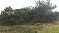 20161001_114201