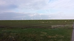 20161001_164921