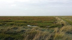 20161001_165943