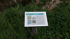 20161002_115744