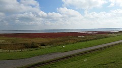20161002_124650