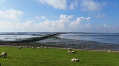 20161002_124655