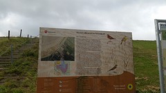20161003_171106