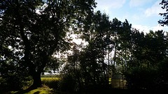 20161003_173006
