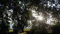 20161003_173018