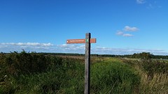 20161005_151324