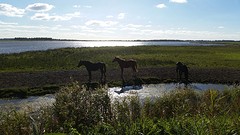 20161005_152450