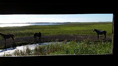 20161005_152510