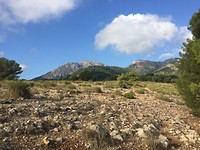 Sierra Espuna