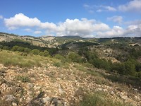 Sierra Espuna