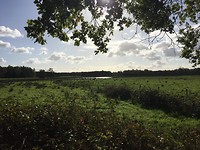 En omdat Nederland ook heel mooi is