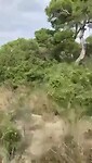 El Albufera de Valencia op de fiets