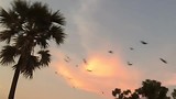 17/02/18 V07