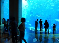 DSCN3035