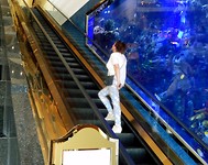 DSCN3086