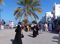DSCN3348