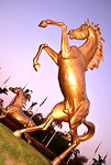 Al-Qasr-Dubai-009