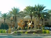 SAM_0537
