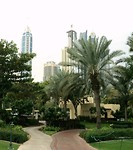 DSC05435