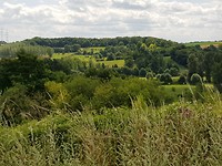 20170722_123442