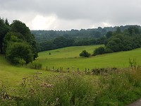 20170725_094326