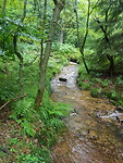20170726_100711