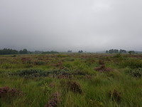20170726_104557