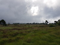 20170726_105653