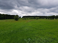 20170728_143821
