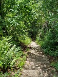 20170730_131343