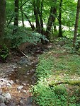 20170730_132428