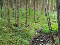 20170730_132442