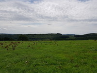 20170731_120917
