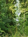 20170731_163613