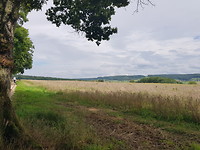 20170802_152721