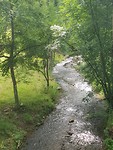 20170802_160905