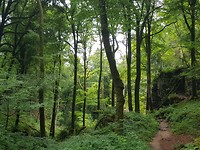 20170803_102726