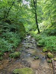 20170803_105324
