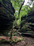 20170803_151432