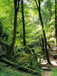 20170803_151755